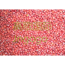 Export Chinese New Crop Good Quality Red Bean